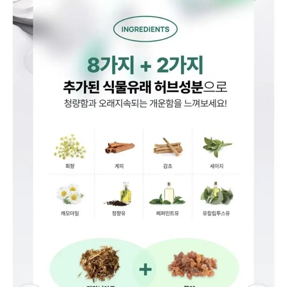 덴티스테 뉴플러스화이트 치약 대용량