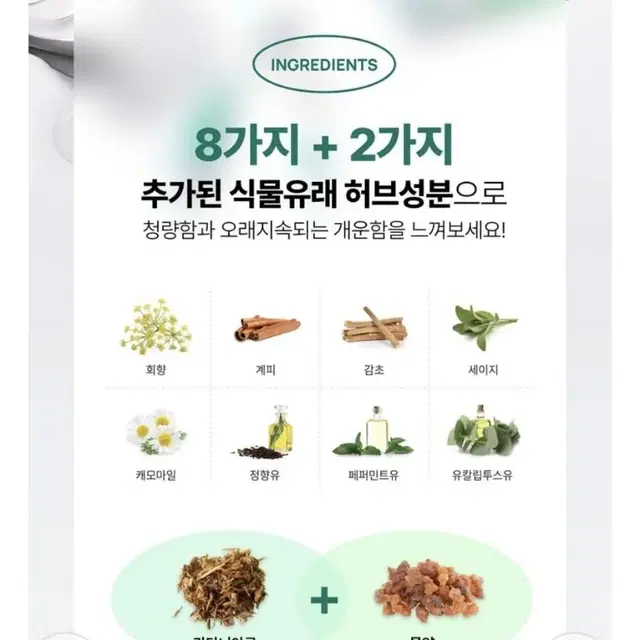 덴티스테 뉴플러스화이트 치약 대용량