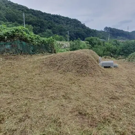 경북 구미시 선산읍 해평면 벌초대행