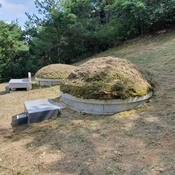 경북 구미시 선산읍 해평면 벌초대행