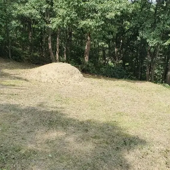 경북 구미시 선산읍 해평면 벌초대행