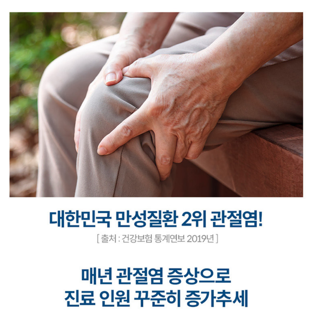 미국 뉴트리션 MSM 관절 연골 인대조직 부모님 명절선물 4개월분