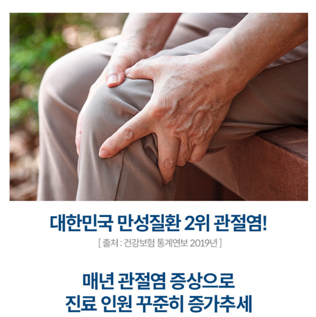 미국 뉴트리션 MSM 관절 연골 인대조직 부모님 명절선물 4개월분