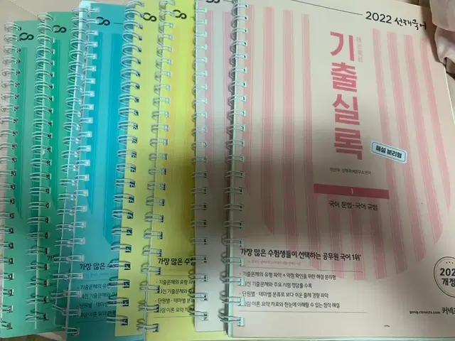 2022선재국어 기출실록