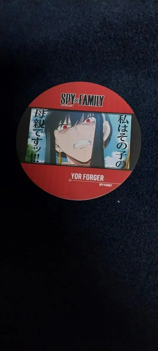 SPY FAMILY YORK COASTER