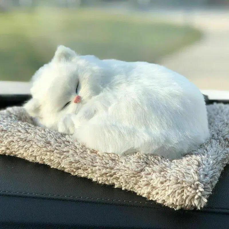 새 차량 미니 앙고라 고양이 제습 인형 활성탄 탈취 공기 청정 동물