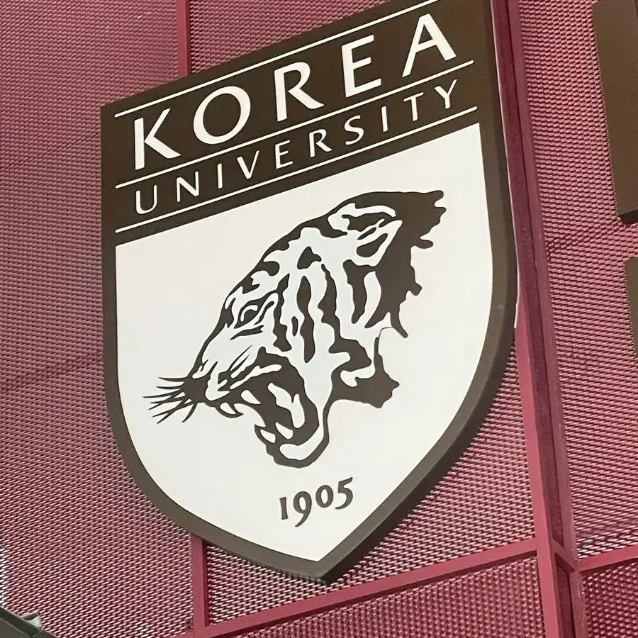 고려대학교 선생님 전과목 과외 모집