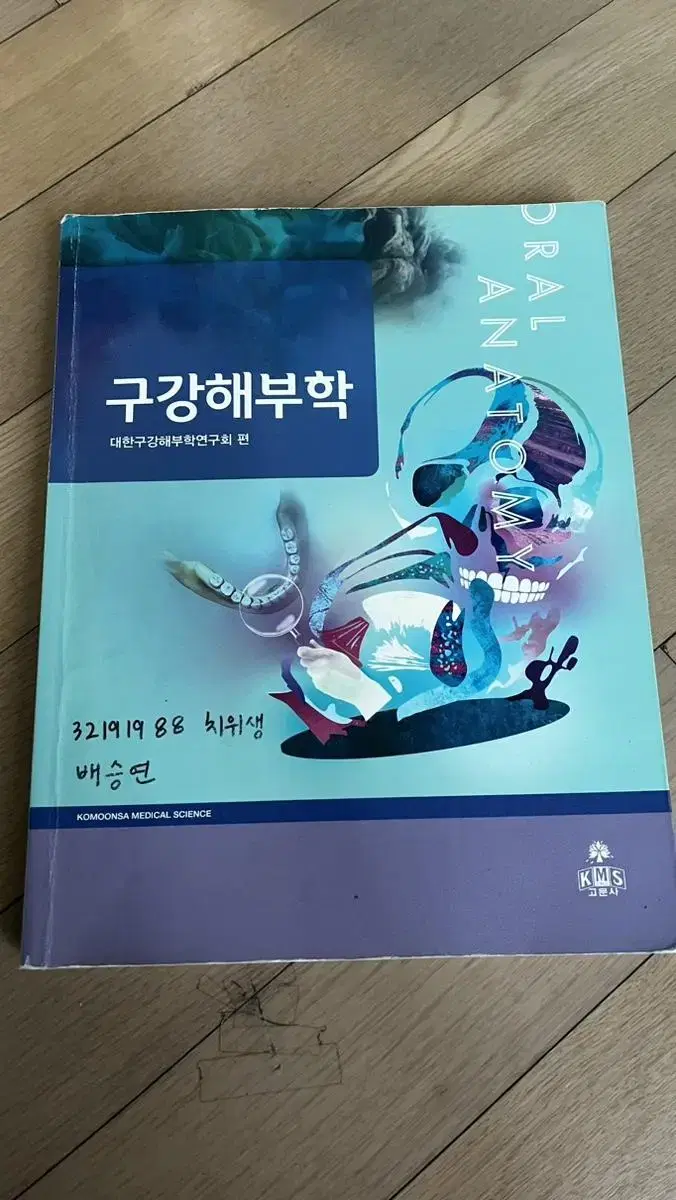 구강해부학