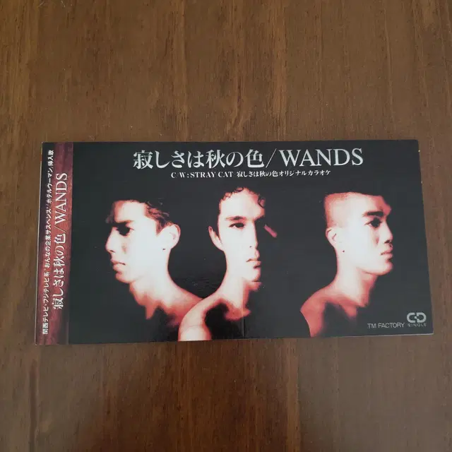 WANDS - 사비시사와아키이로 8cm싱글cd