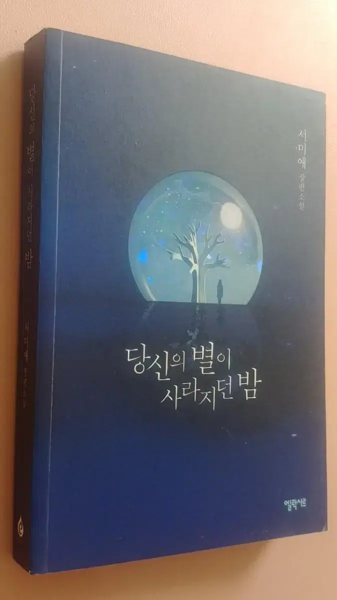 당신의 별이 사라지던 밤