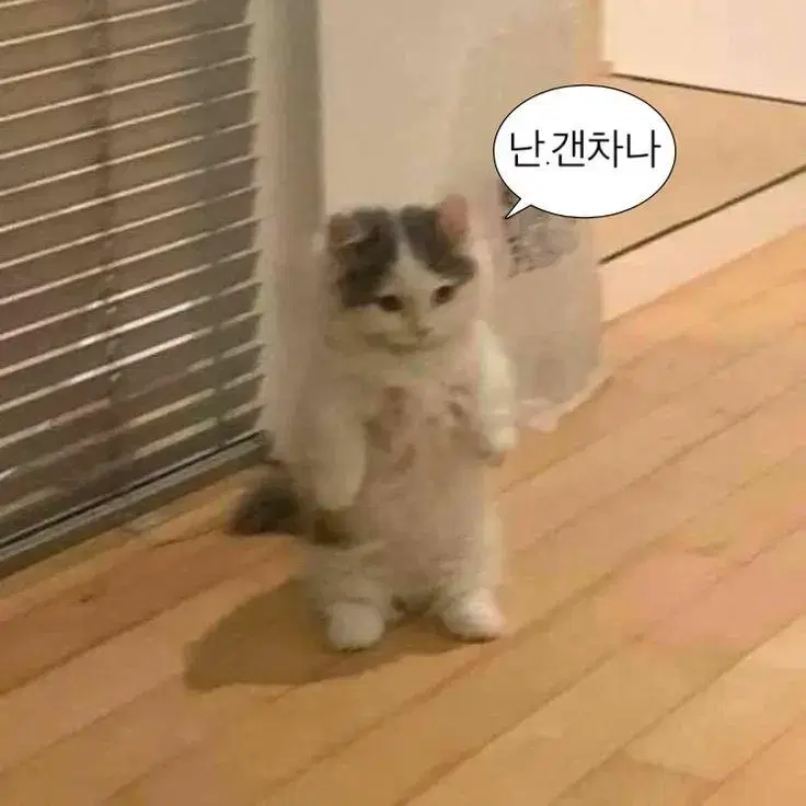 BE 석진포카