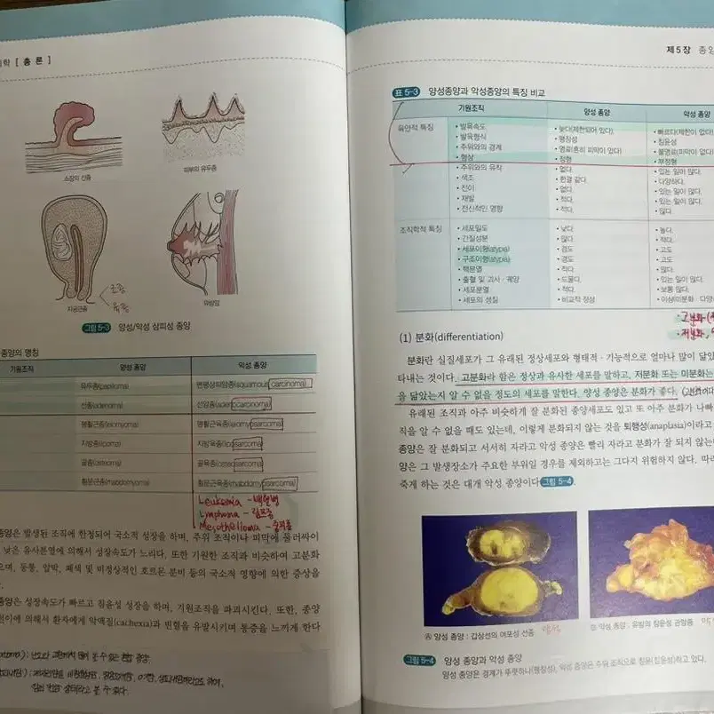 새로 쓴 병리학