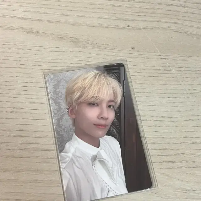 약하자) 세븐틴 정한 소셜클럽 알피네 포토카드 양도 svt pc