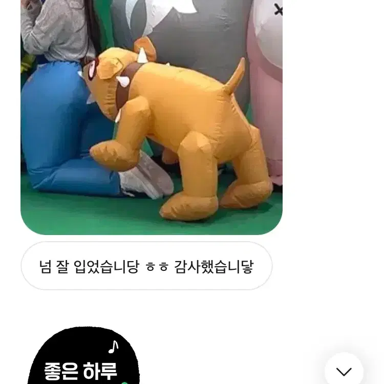 특이한 졸업사진 컨셉 코스튬 대여 풍선옷 에어슈트 강아지옷 졸사