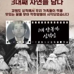 착한양봉 천연꿀 500g(짜먹는 튜브타입)