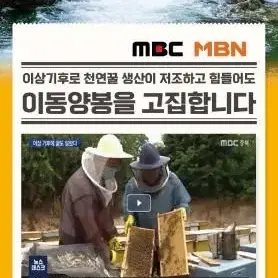 착한양봉 천연꿀 500g(짜먹는 튜브타입)