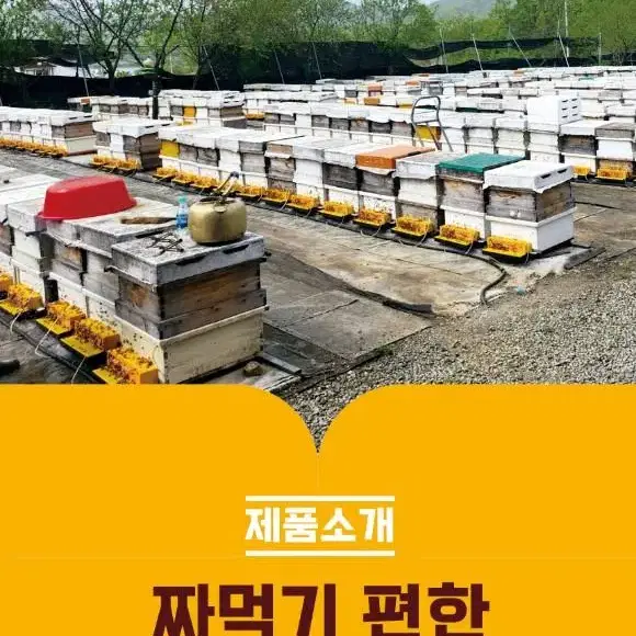 착한양봉 천연꿀 500g(짜먹는 튜브타입)