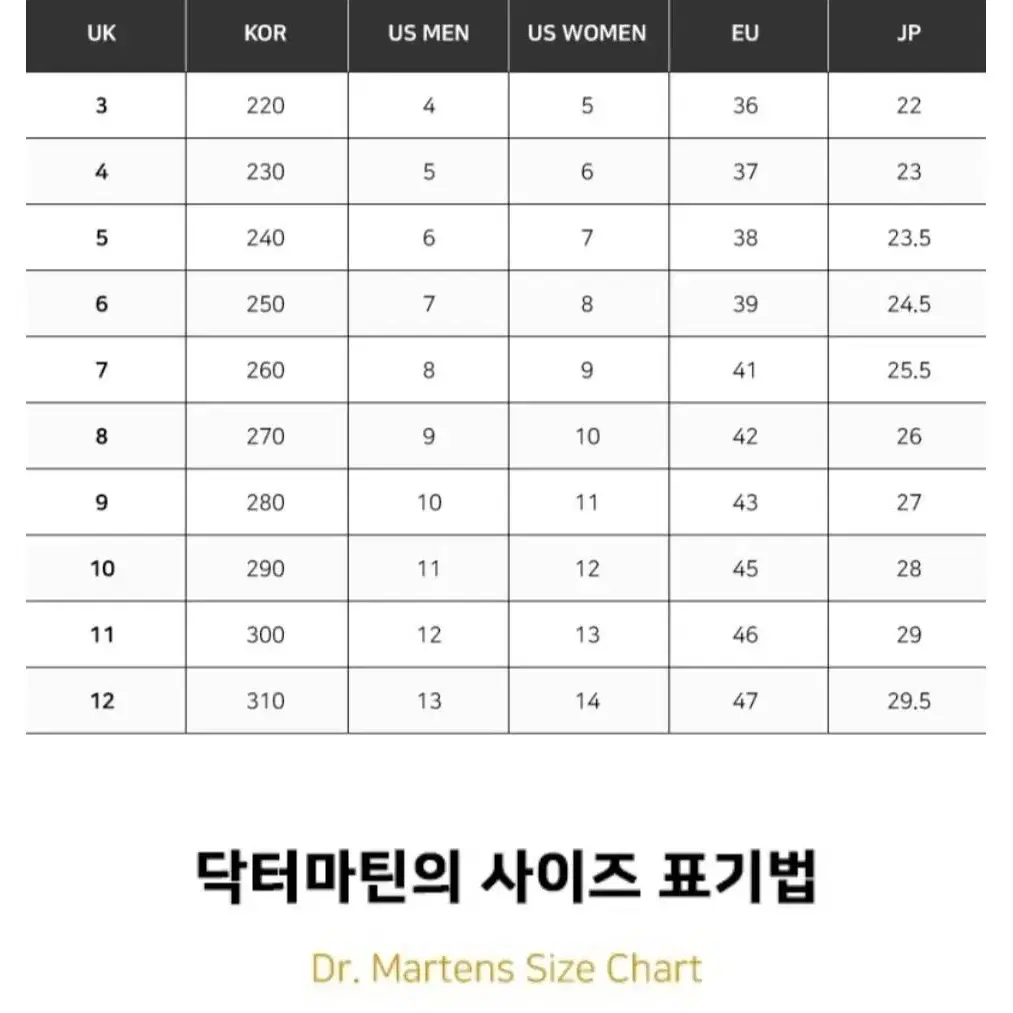 닥터마틴 남성 250(39)