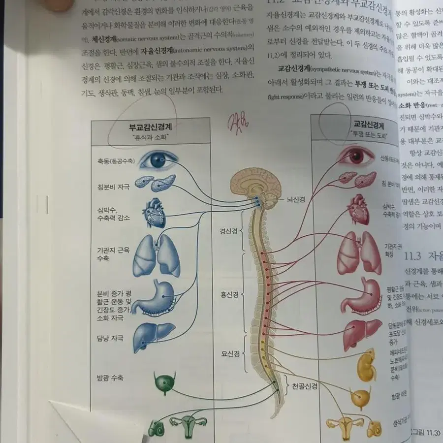 호산대 간호학과 책 판매