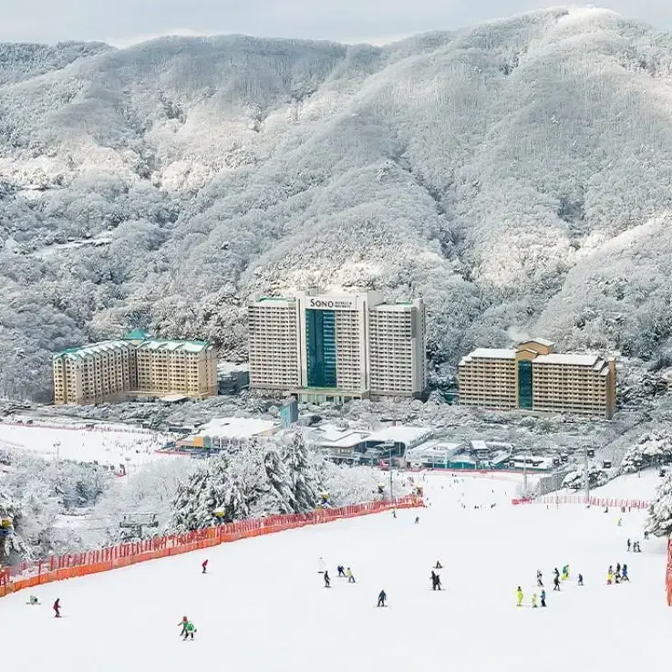 [당일가능] 비발디파크 리프트권(장비렌탈) 타임패스