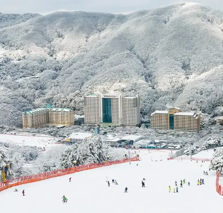 [당일가능] 비발디파크 리프트권(장비렌탈) 타임패스