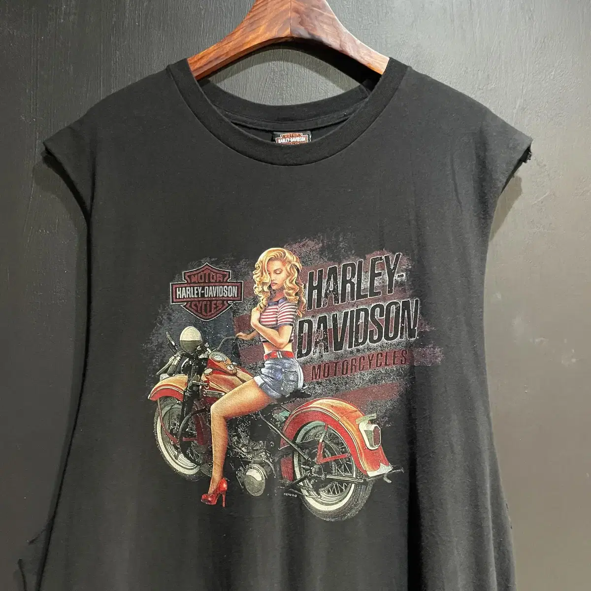 Harley Davidson 할리데이비슨 나시