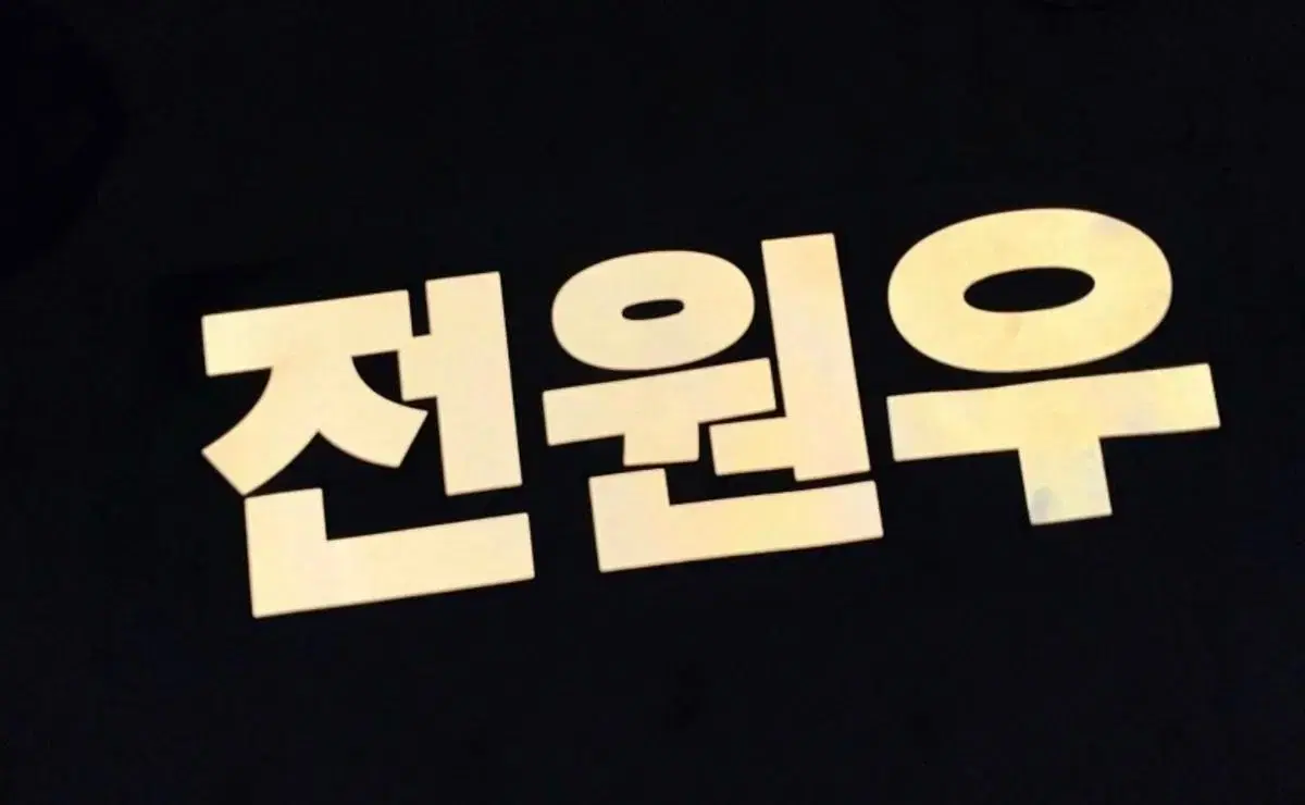 Seventeen jeon wonwoo reflective slogan cloth slogan customized 60x20