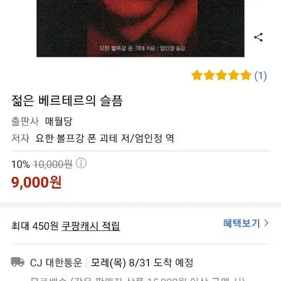 젊은 베르테르의 슬픔