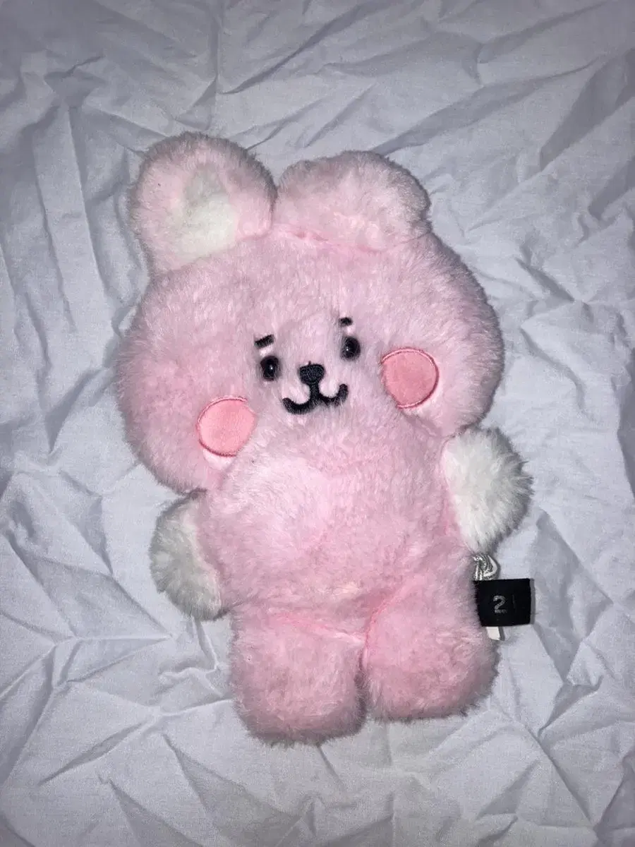 Price drop)) BT21Flapper Cookie