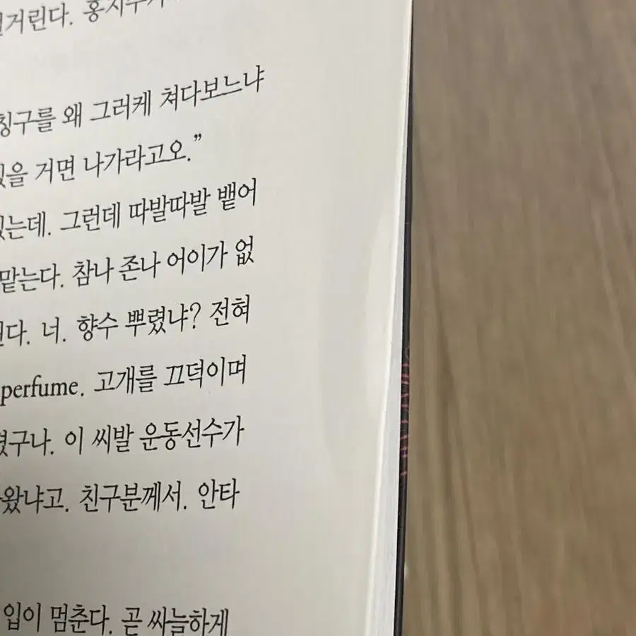 홍윤 리빙 레전드 인 메옐 팬북