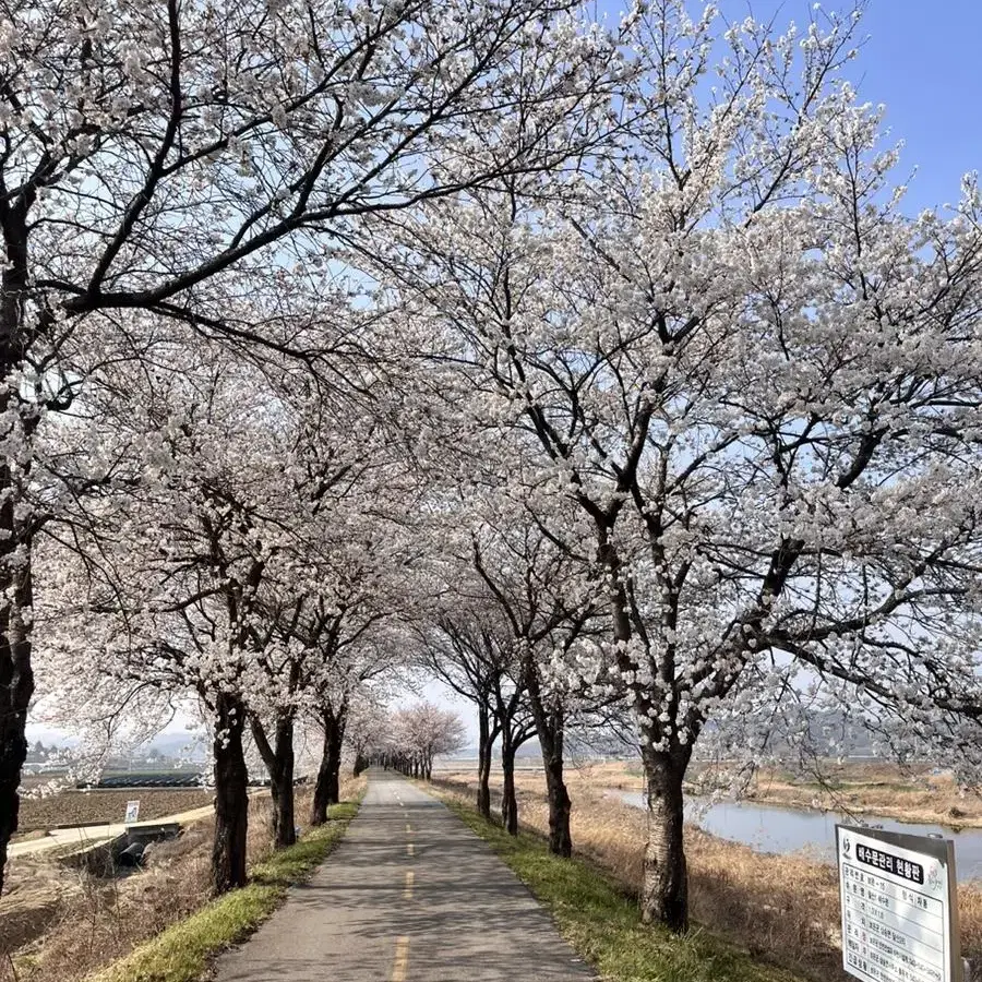 야놀자 여기어때(90%) 3만원이상만!