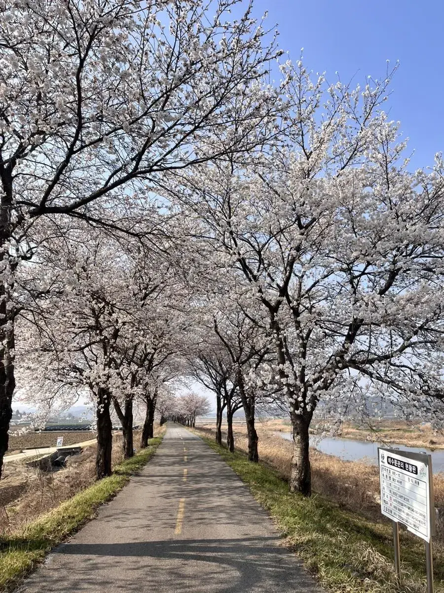 야놀자 여기어때(90%) 3만원이상만!