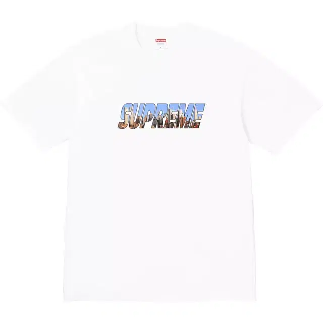 정품 S,M,L,XL 슈프림 고담 티셔츠 화이트 - 23FW 슈프림고담티