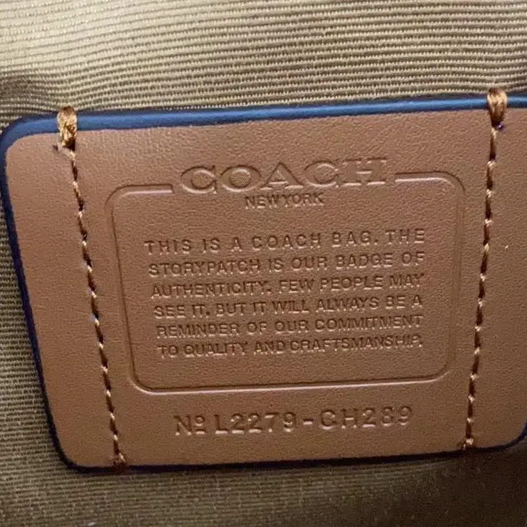 Coach Darcie  미니 캐리올 토트백 CH289 해외직구