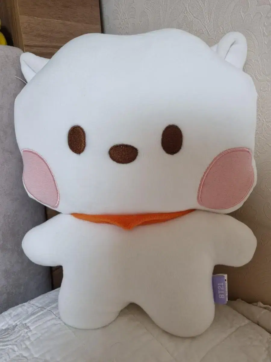 Half-priced Delivery.BT21 RJ Aljay Minnini Flat Cushion