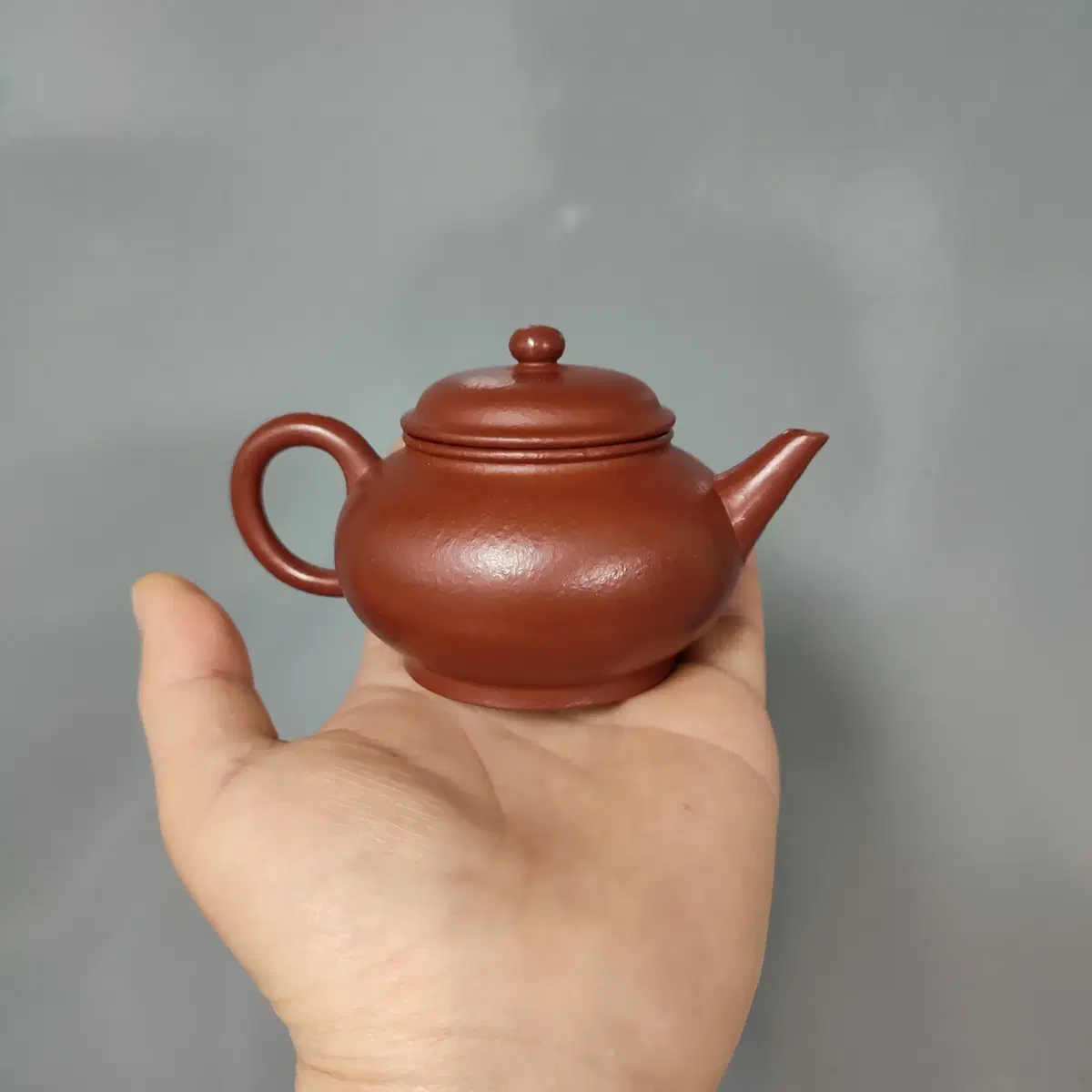 자사호 극품주니 수평호 140cc