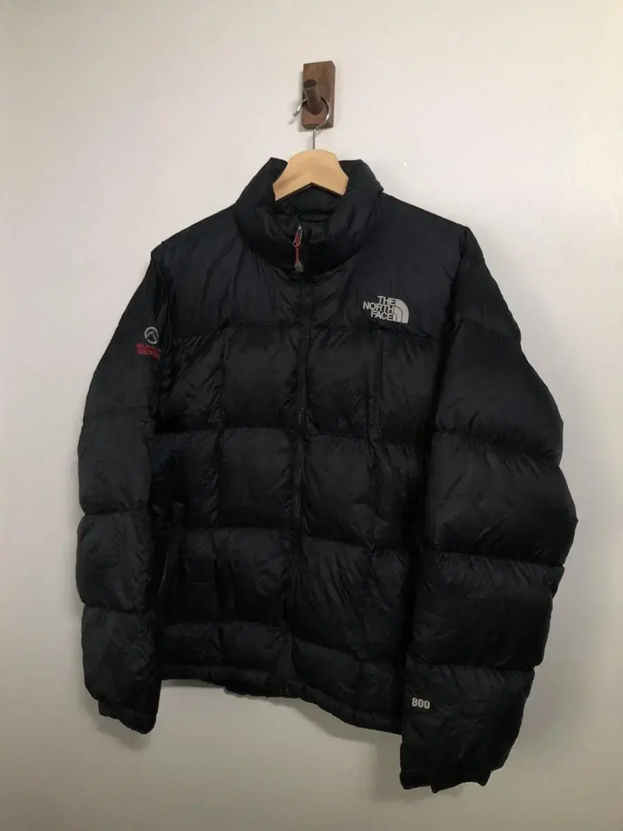 (95)The North Face 800 Goose Down Padding