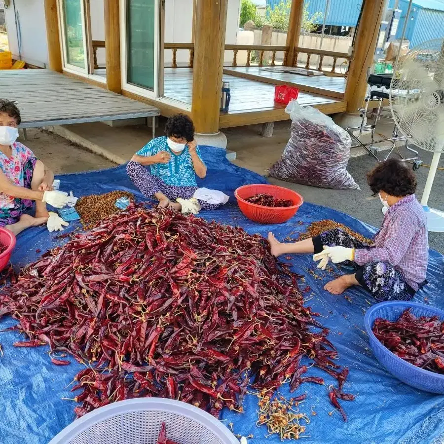 고창 "상하농장"햇고추가루  햇고춧가루500그램 초특가 판매