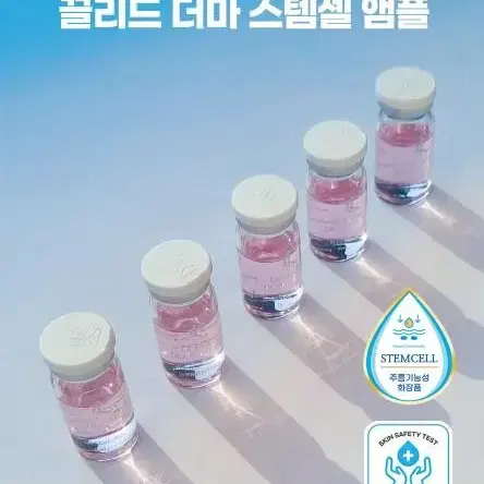 끌리드 더마 모이스처 보습 비타 미백 스템셀 주름 기능성 앰플 8ml