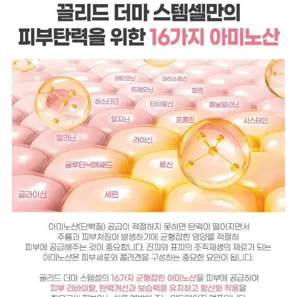 끌리드 더마 모이스처 보습 비타 미백 스템셀 주름 기능성 앰플 8ml