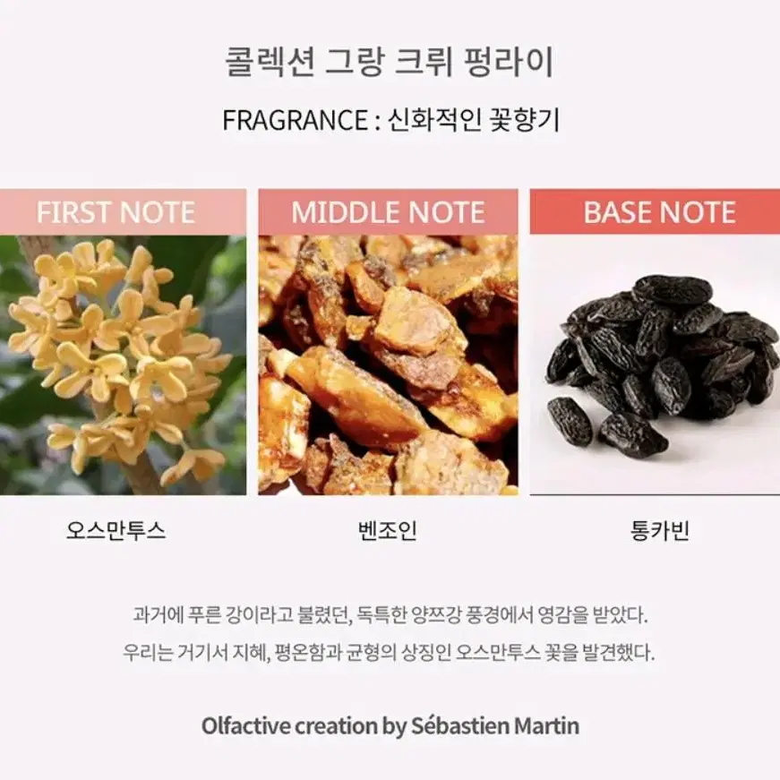 베르두 펑라이&소메이요시노 10ml 일괄