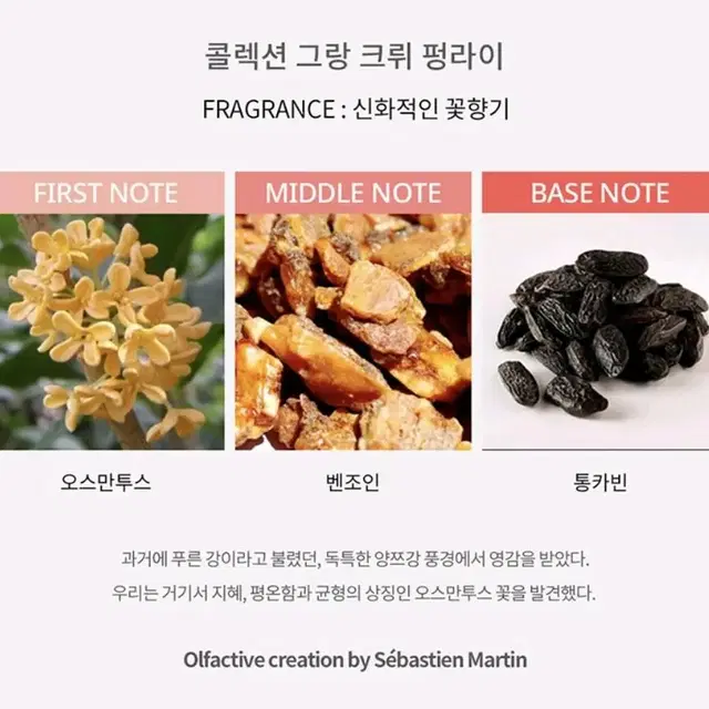 베르두 펑라이&소메이요시노 10ml 일괄