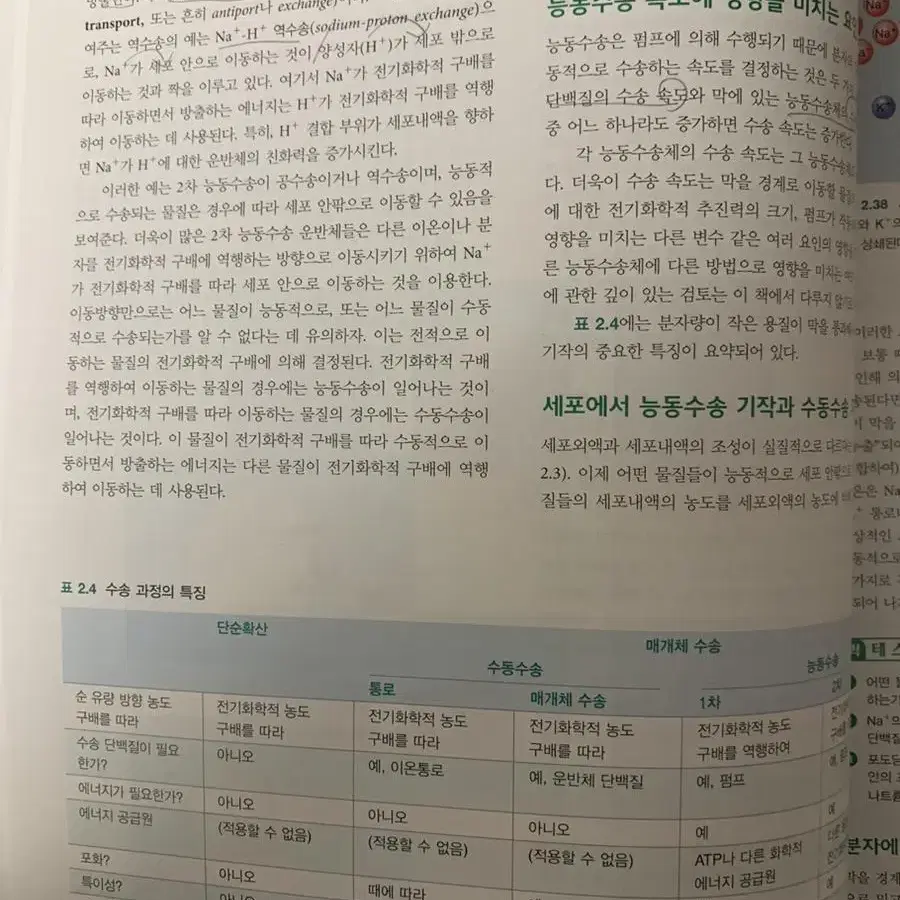 인체생리학 입문