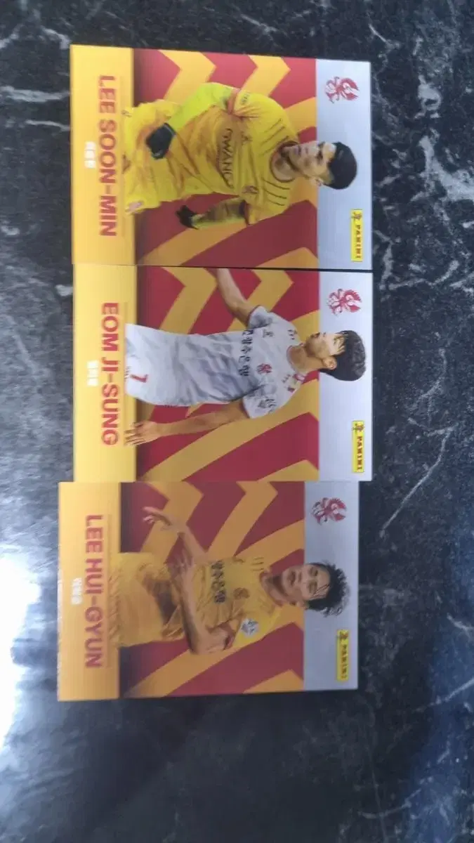 Gwangju FC Panini Card