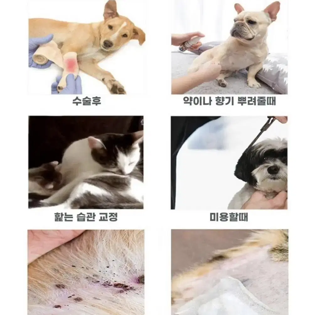 강아지 고양이 넥카라 2개세트