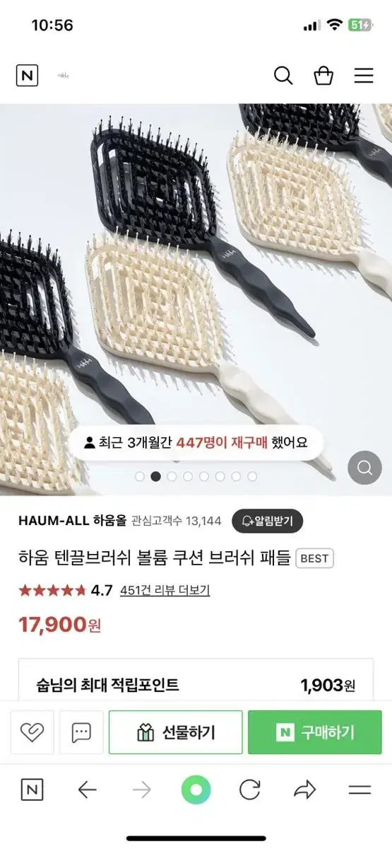 하움 텐끌 브러쉬