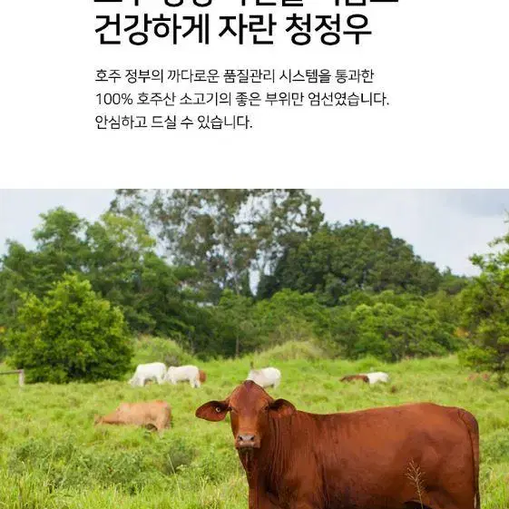 수제 소고기육포 소고기치즈육포 5종 30g x 5p 명절 추석선물세트