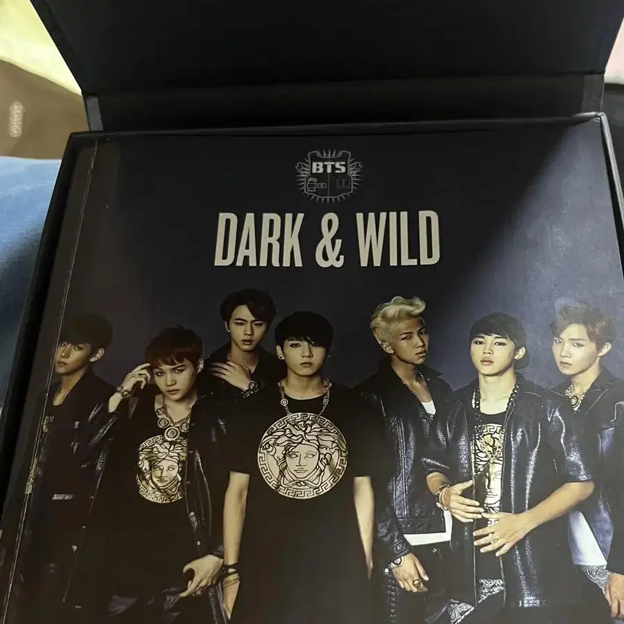 (포카 포함) 방탄소년단 DARK&WILD 앨범