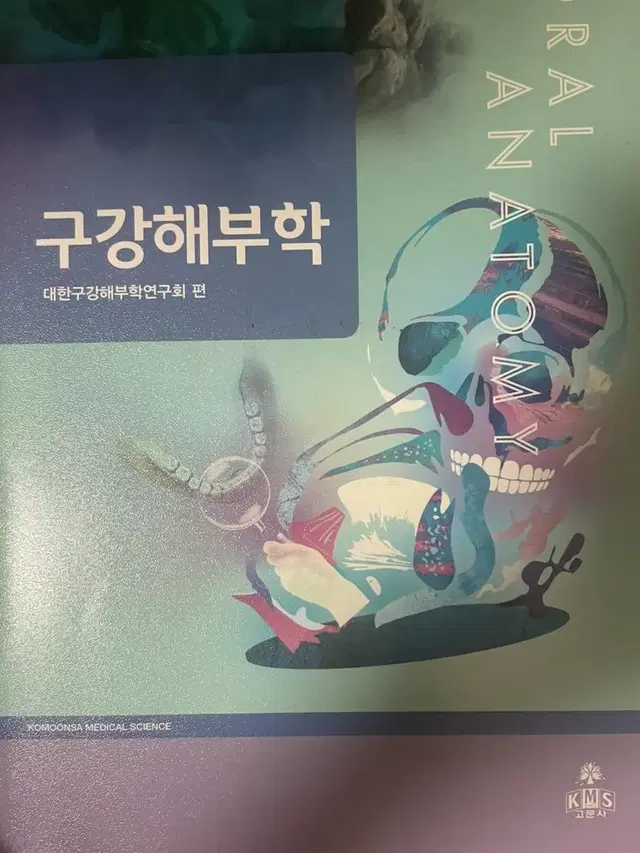 구강해부학 새책