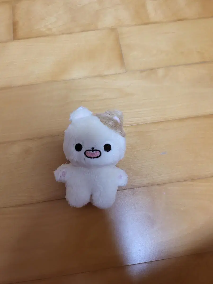 NCT jisung 10CM Doll Kongzu